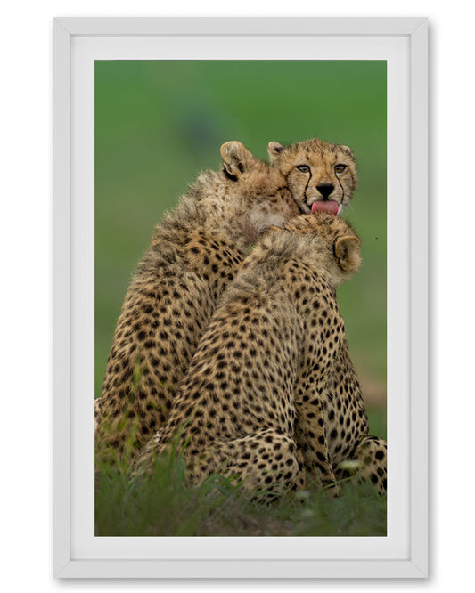 Nest – Cheetah Family Canvas for Warm, Storytelling Spaces