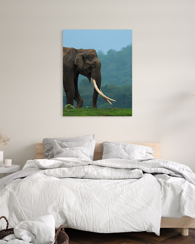 Monarch – Elephant Canvas Wall Art for Interior Elegance