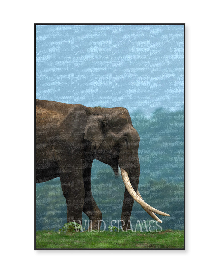 Monarch – Elephant Canvas Wall Art for Interior Elegance