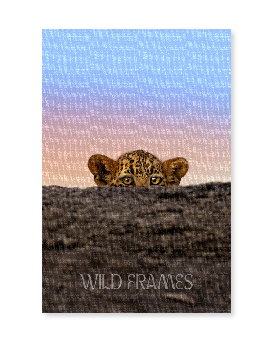 Leopard Cub Watch – Eco-Friendly Canvas Frame
