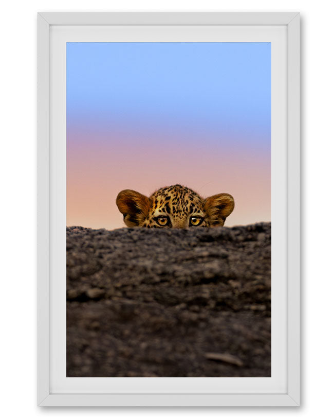 Leopard Cub Watch – Eco-Friendly premium paper photo Frame
