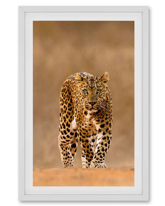 Leopard Warm - Premium Paper