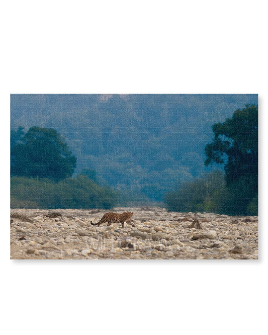 Leopard Crossing Riverbed – Landscape Wildlife Canvas Wall Art | Jungle Safari Nature Print