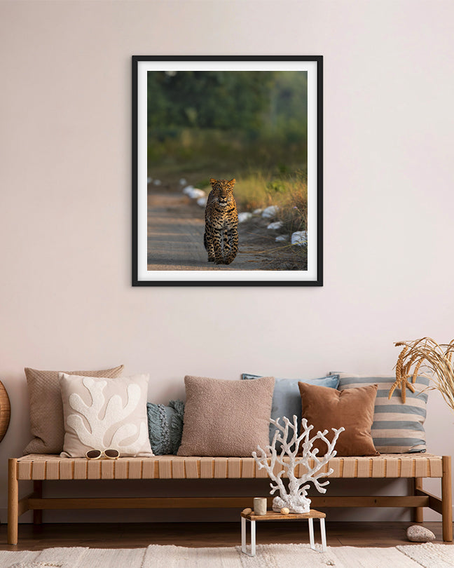 Stare – Leopard photo frame Wall Art for Refined Interiors