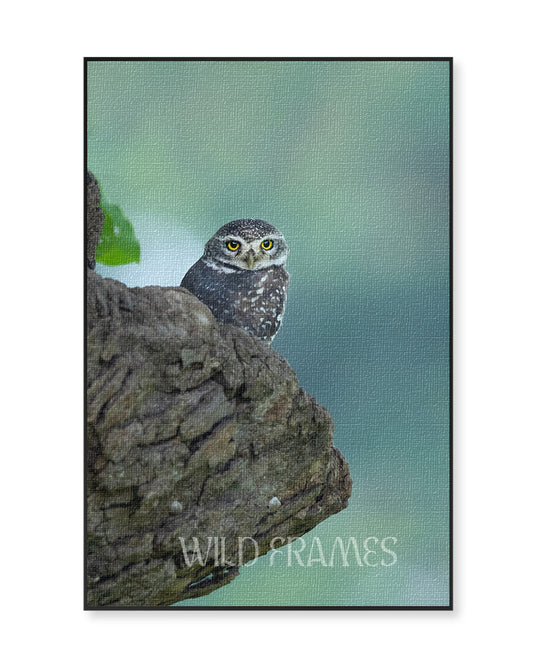 Watch – Owl Portrait Canvas for Minimal, Mindful Interiors