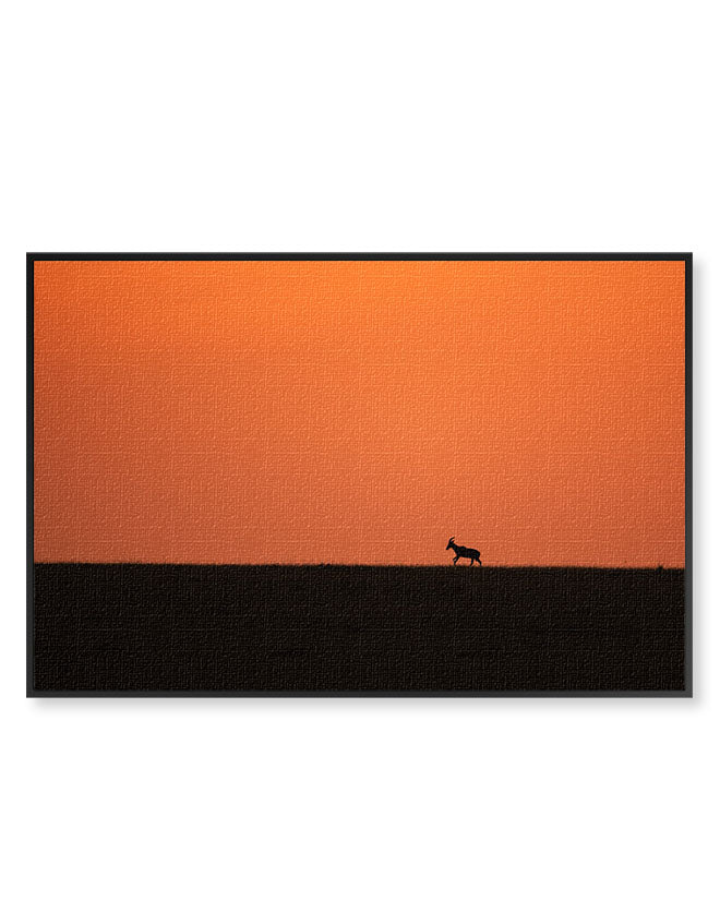 Red Sunset Sillhouette - Canvas