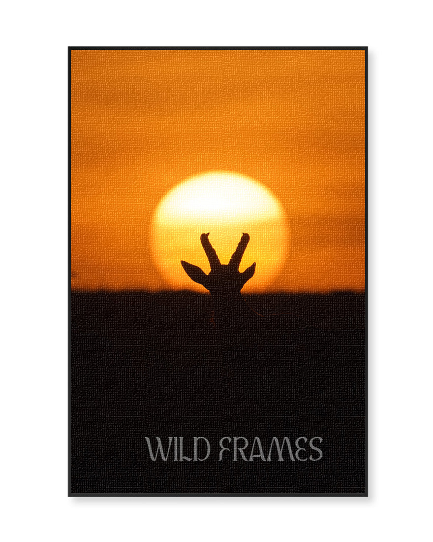 Sunset crown in the wild - canvas wall art