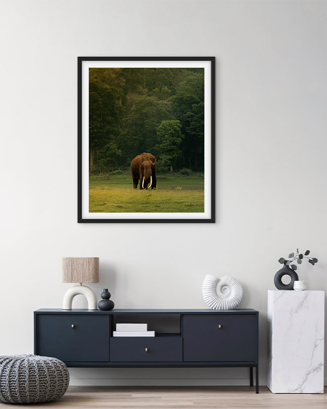 The Heart of India: A Majestic Tusker Stands Proud in the Heart of Nature - premium paper