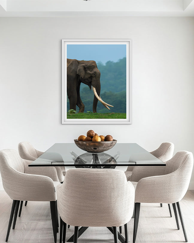 Monarch – Elephant photo frame Wall Art for Interior Elegance
