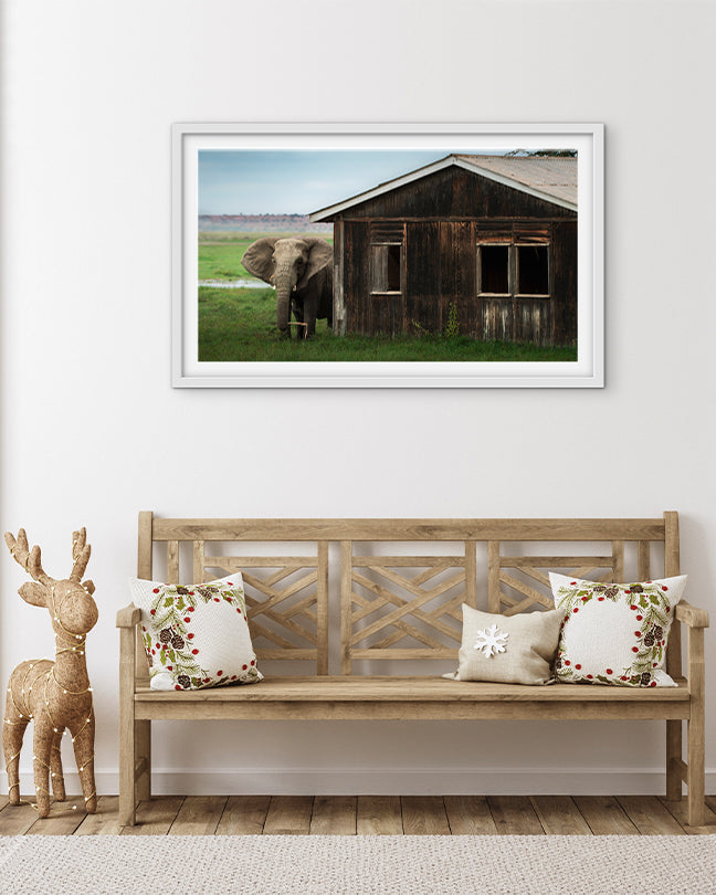 Elephant Encounter – Nature at Your Doorstep