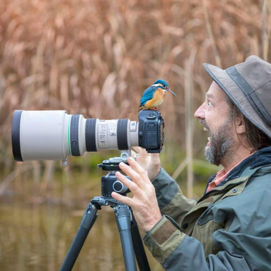 Capturing the Wild – A Stunning Collection of Wildlife Photography