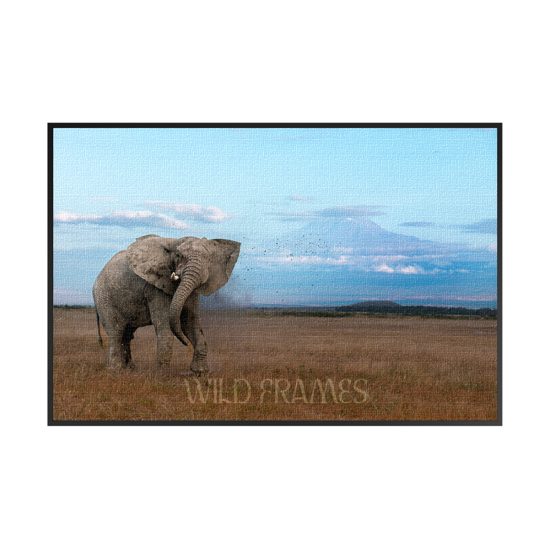 The mighty tusker stands proud, with Kilimanjaro’s beauty in the background-canvas