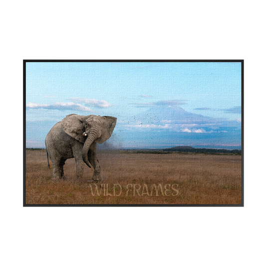 The mighty tusker stands proud, with Kilimanjaro’s beauty in the background-canvas
