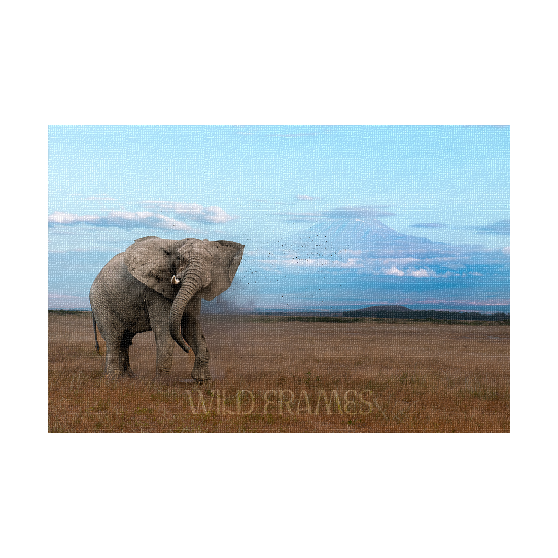The mighty tusker stands proud, with Kilimanjaro’s beauty in the background-canvas