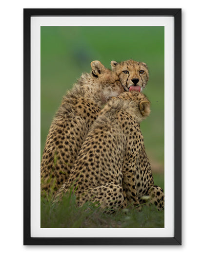 Nest – Cheetah Family Canvas for Warm,  Storytelling Spaces