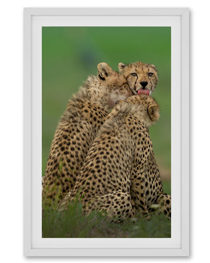 Nest – Cheetah Family Canvas for Warm,  Storytelling Spaces