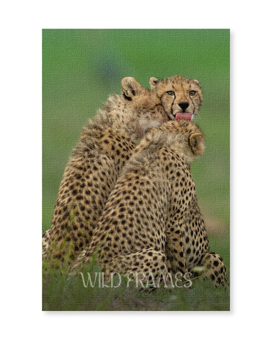 Nest – Cheetah Family Canvas for Warm,  Storytelling Spaces