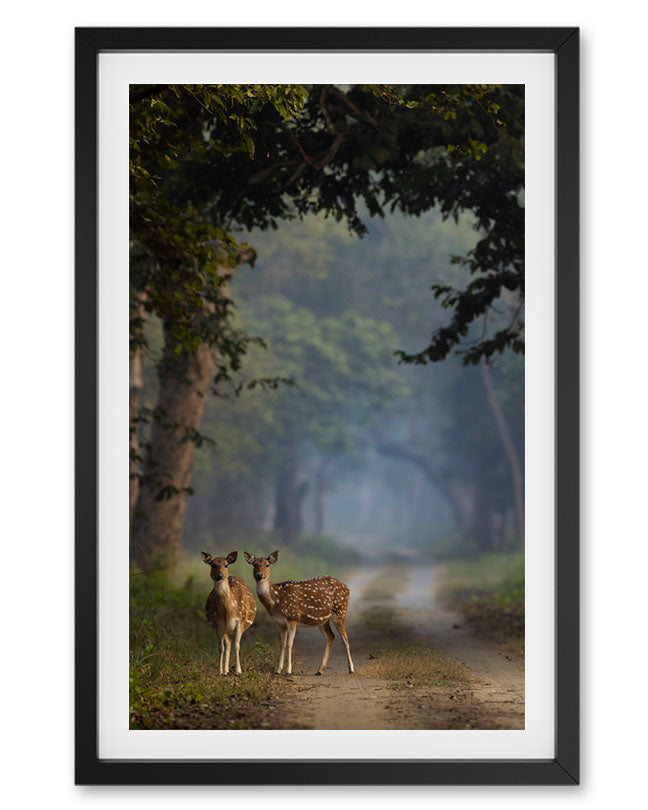 Whispers of the Wild – Luxury Deer photo frame for  Sustainable Interiors