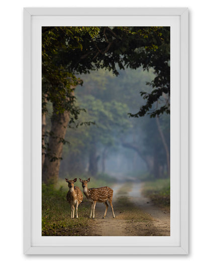 Whispers of the Wild – Luxury Deer photo frame for  Sustainable Interiors