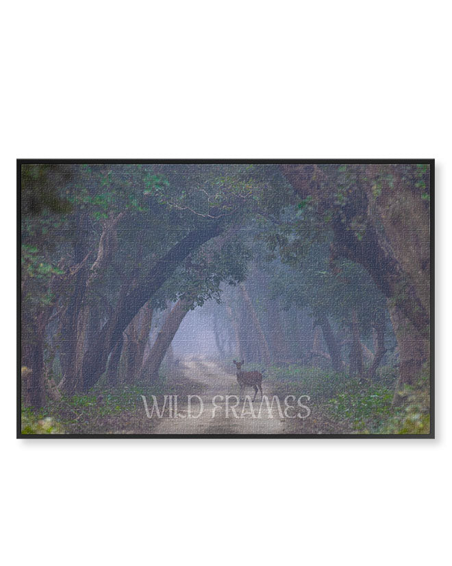 Deer in the Landscape - Canvas