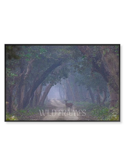 Deer in the Landscape - Canvas