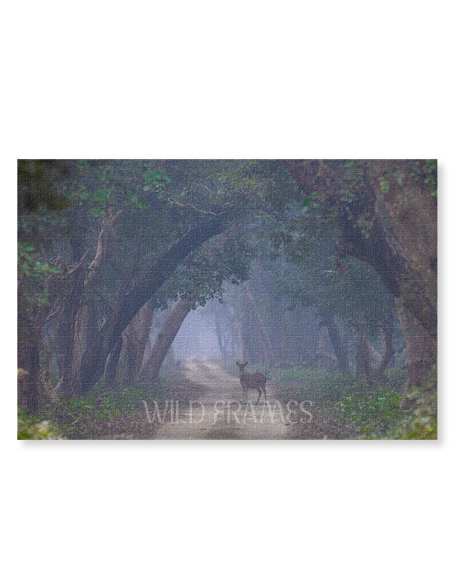 Deer in the Landscape - Canvas