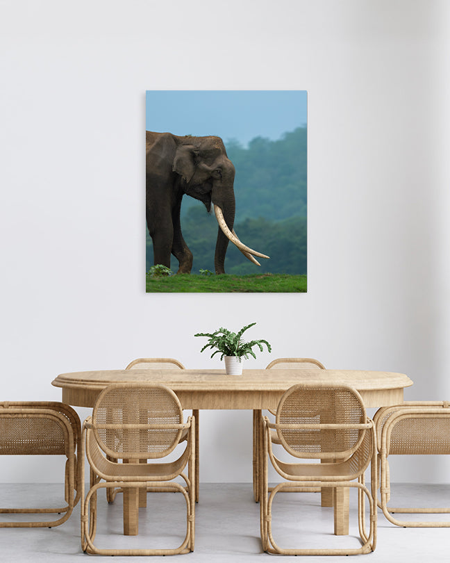 Monarch – Elephant Canvas Wall Art for Interior  Elegance