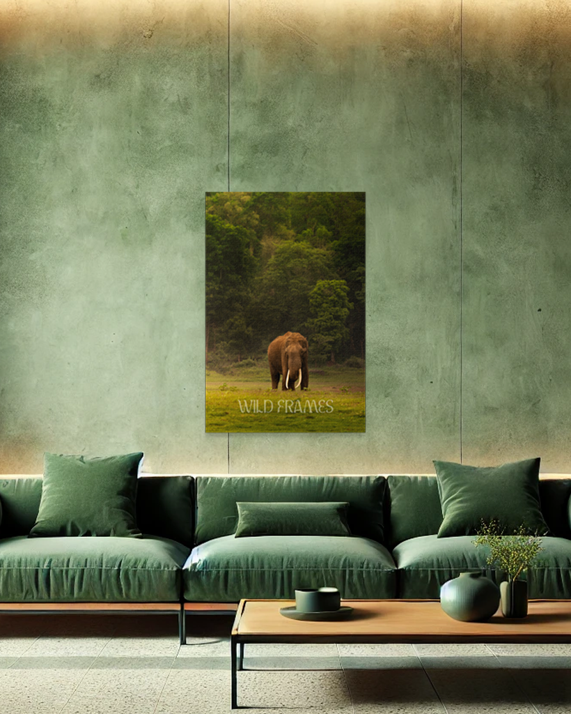 The Heart of India: A Majestic Tusker Stands Proud in the Heart of Nature, a Symbol of Strength, Grace, and Wild Beauty-canvas