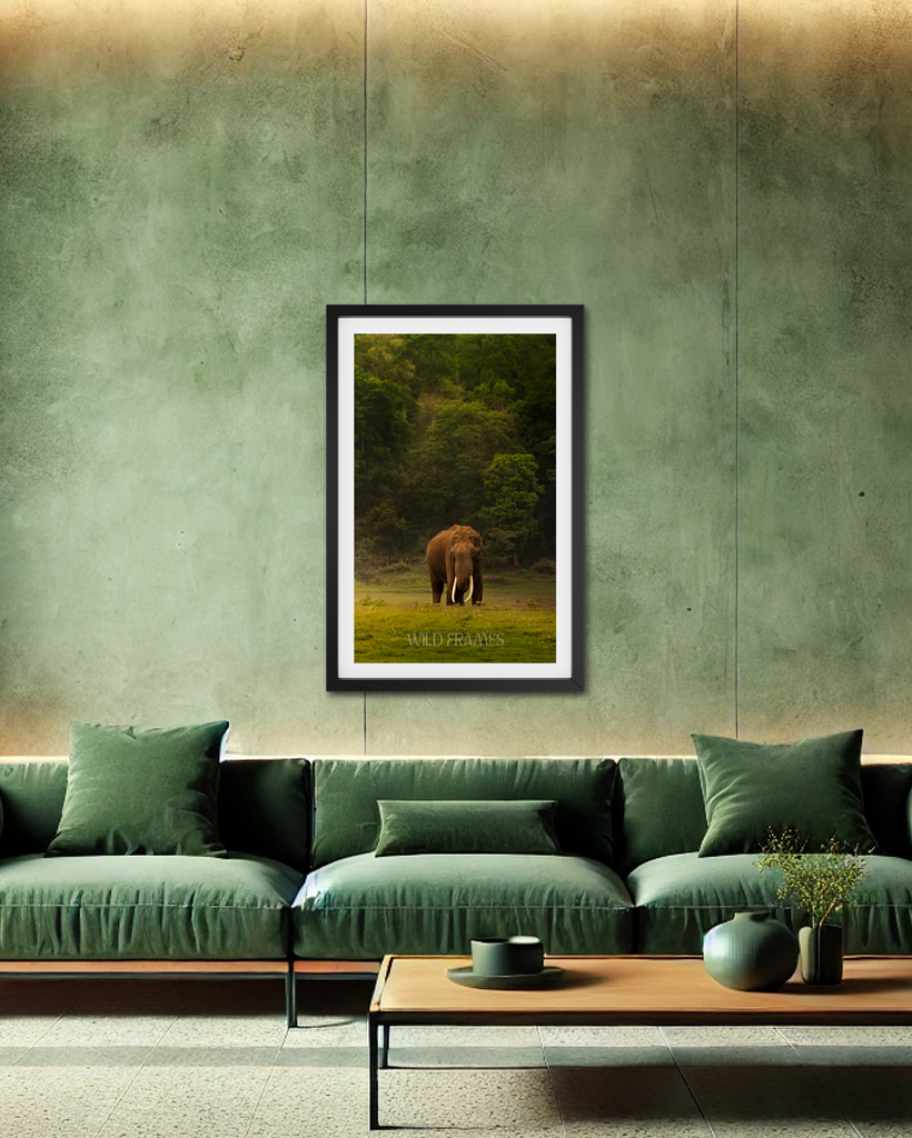 The Heart of India: A Majestic Tusker Stands Proud in the Heart of Nature, a Symbol of Strength, Grace, and Wild Beauty-premium paper