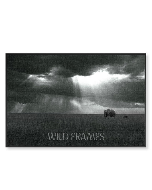 Elephant Long Shot - Canvas