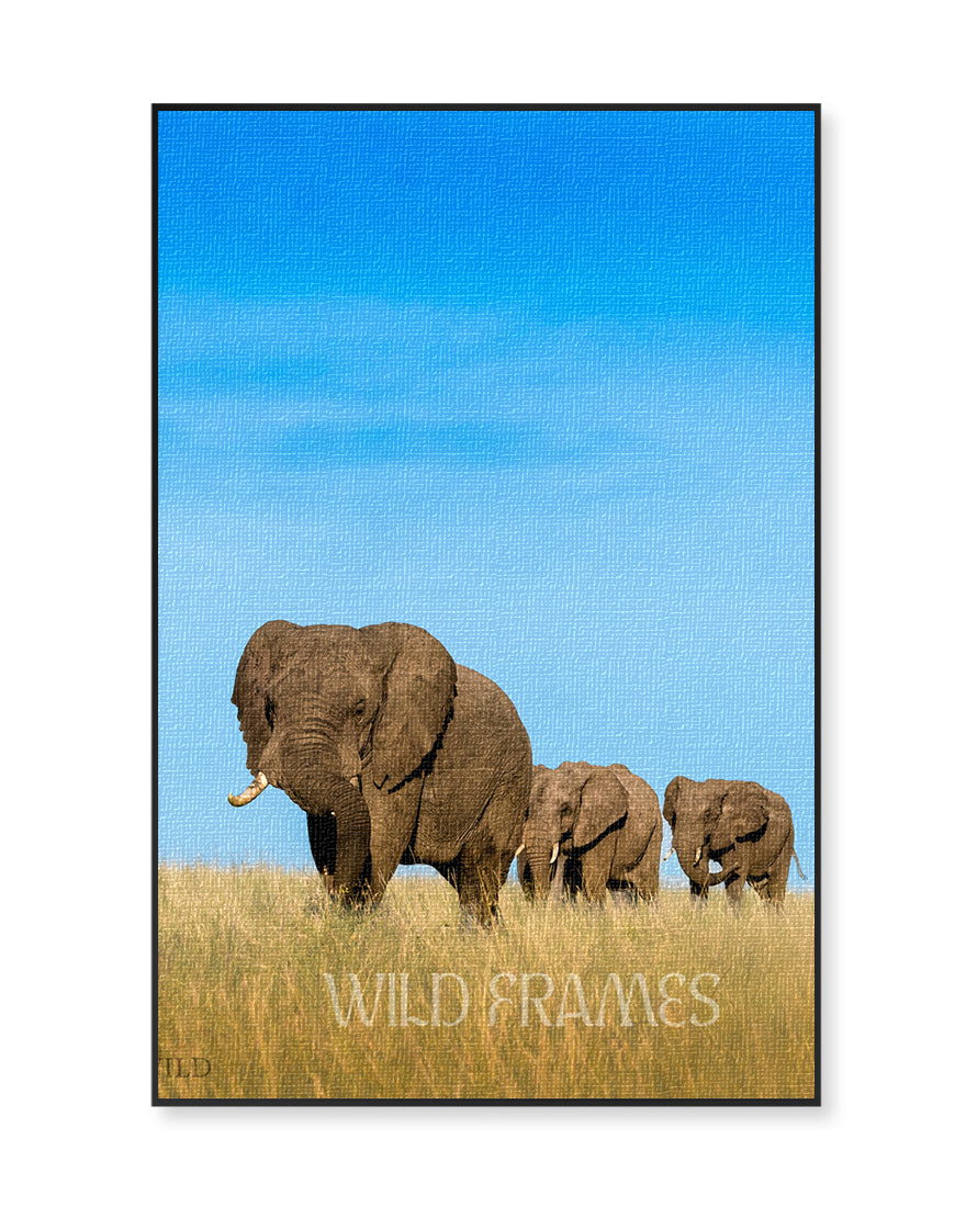 Legacy – Elephant Family Canvas Wall Art for  Interior Spaces