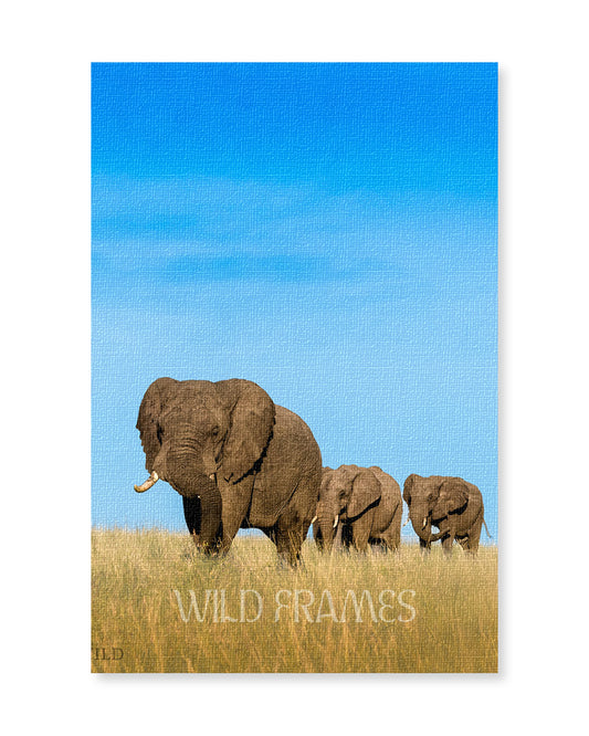 Legacy – Elephant Family Canvas Wall Art for  Interior Spaces