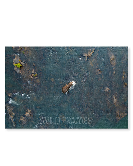 Currents of Courage – The Elephant's Journey  Across Wild Waters