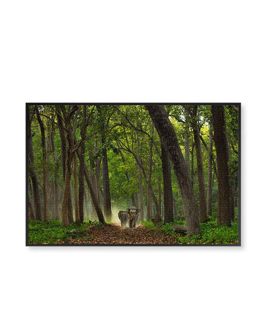 A Quiet Walk in the Wild – Elephant Canvas Wall Art