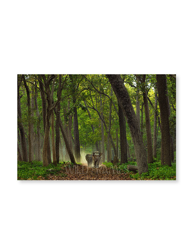 A Quiet Walk in the Wild – Elephant Canvas Wall Art
