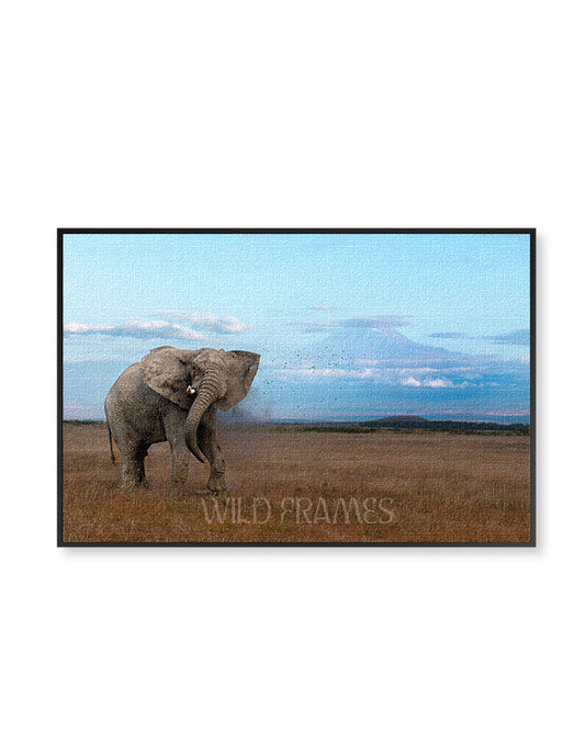 Elephant Fuji Behind - Canvas