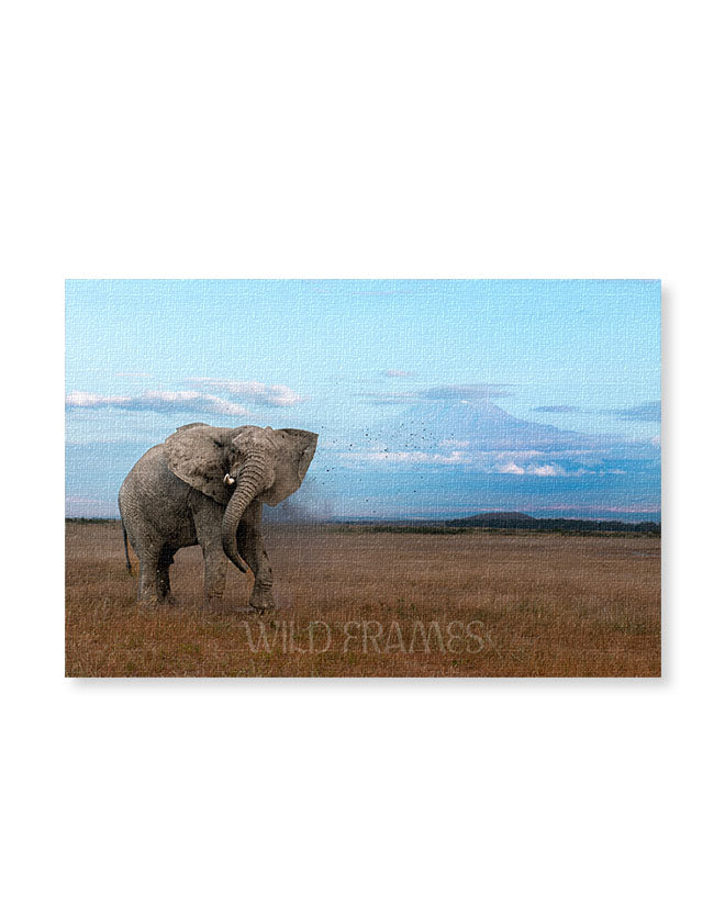 Elephant Fuji Behind - Canvas