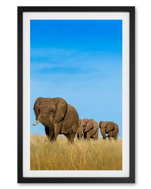 Legacy – Elephant Family Canvas Wall Art for  Interior Spaces