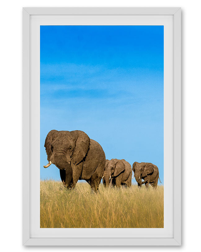 Legacy – Elephant Family Canvas Wall Art for  Interior Spaces