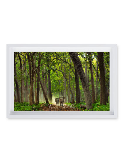 A Quiet Walk in the Wild – Elephant Wall Art - Framed Wall Art