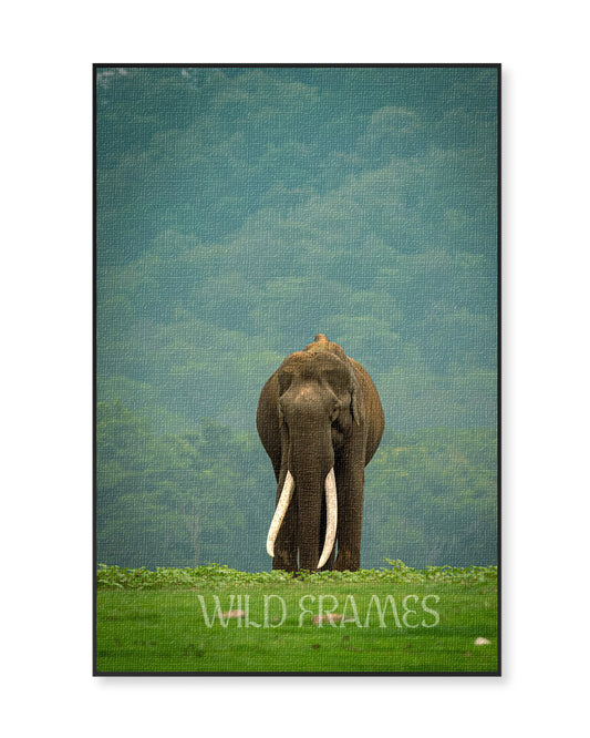 Elephant Indian Big - Canvas