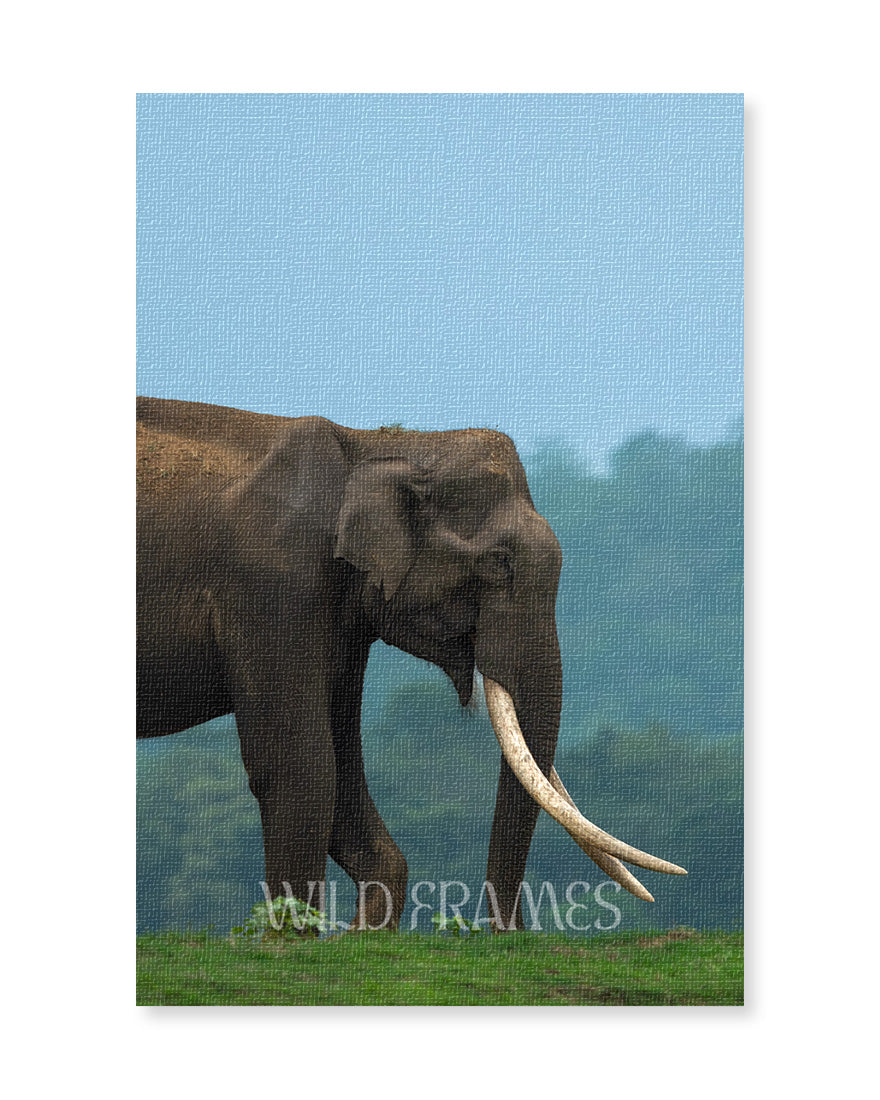 Monarch – Elephant Canvas Wall Art for Interior  Elegance