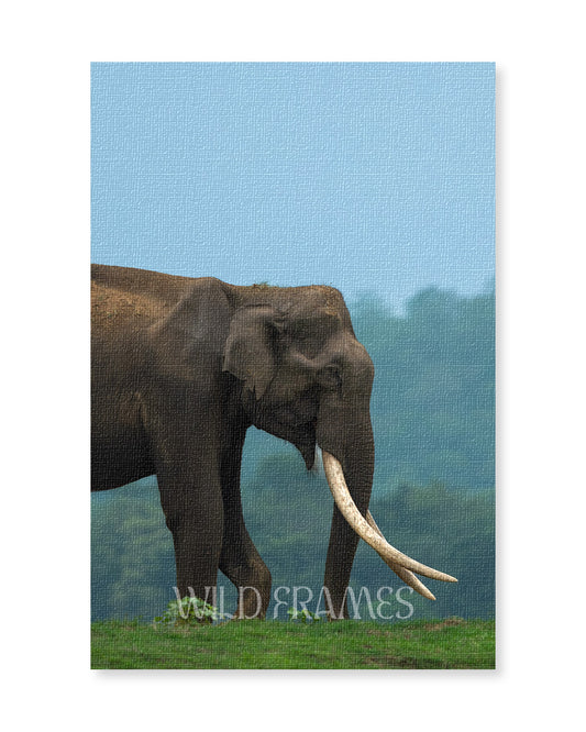Monarch – Elephant Canvas Wall Art for Interior  Elegance