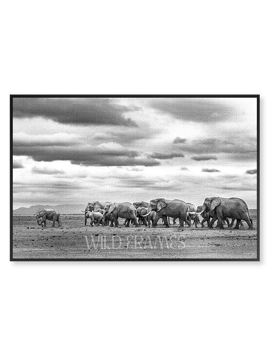 Elephants Family Child Leading - Canvas