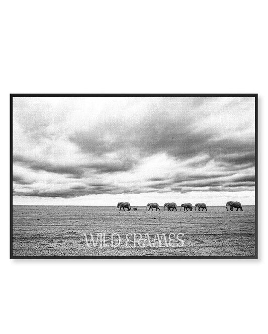 Elephants to the Bridge Black and White - Canvas