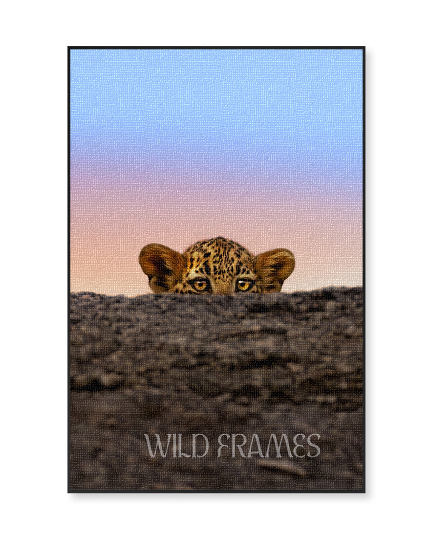 Leopard Cub Watch – Eco-Friendly Canvas Frame