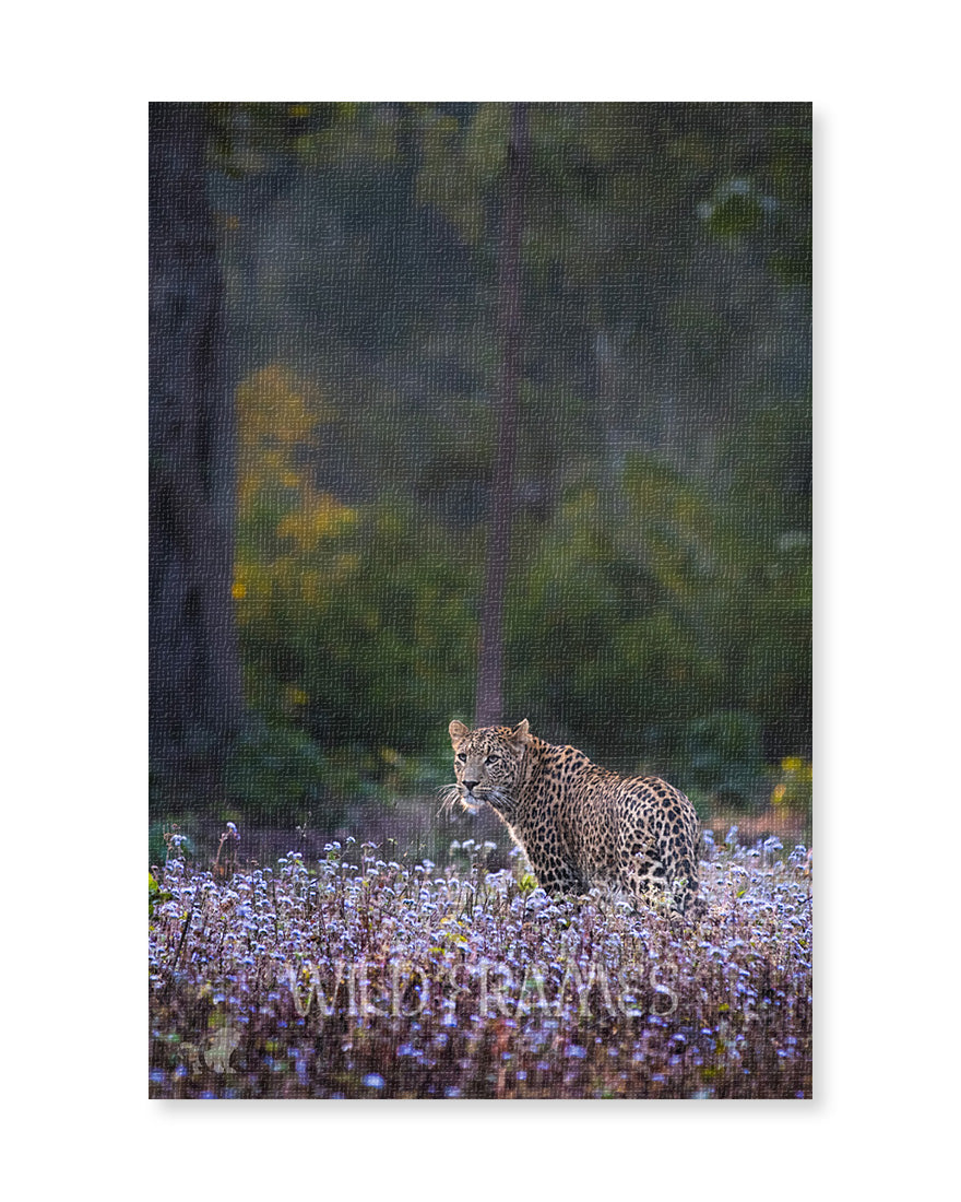 Whisper – Leopard in Wildflower Field Canvas  for Serene Interiors