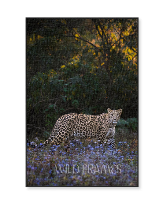 Leopard in Flower Field Looking Straight - Canvas