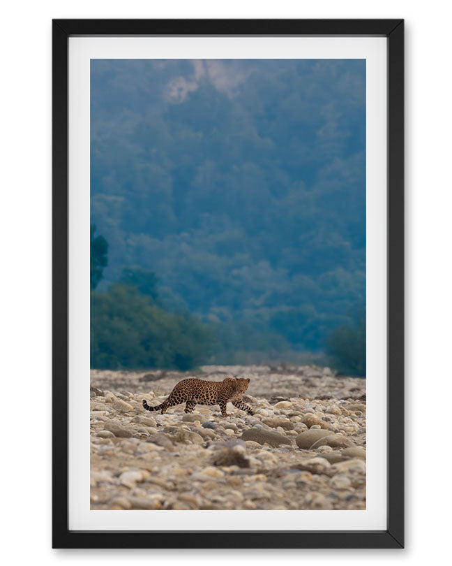 Solitude – Leopard famed Wall Art for Earthy  Interiors