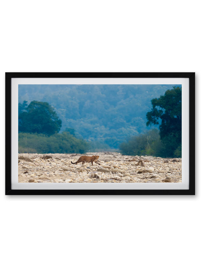 Leopard Crossing Riverbed – Landscape Wildlife  Framed Wall Art | Jungle Safari Nature Print